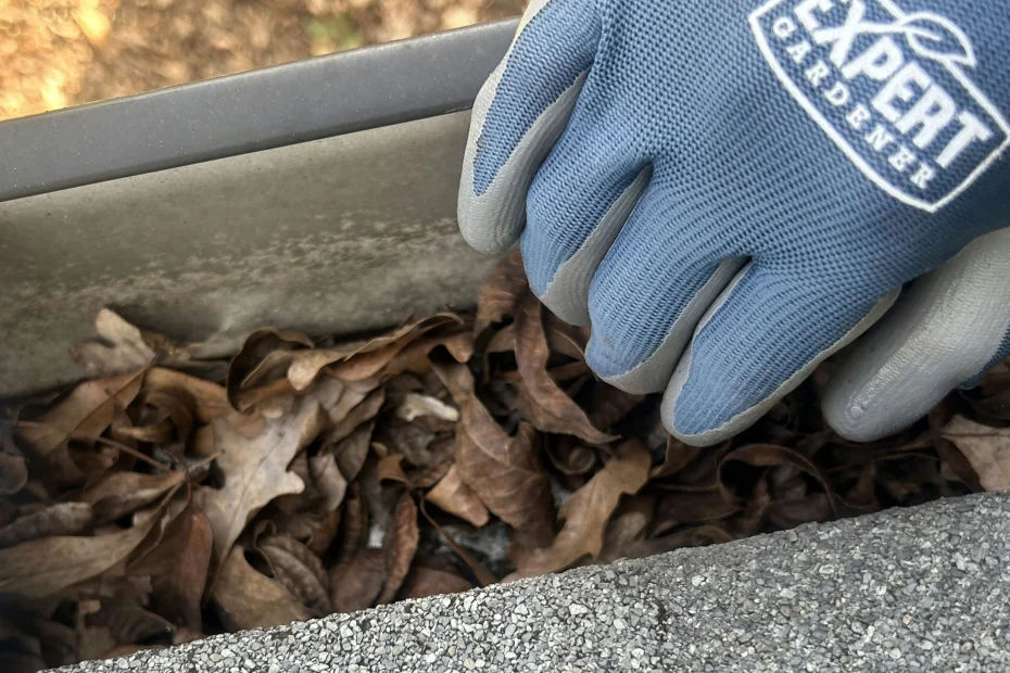 Gutter Cleaning Peachtree Corners